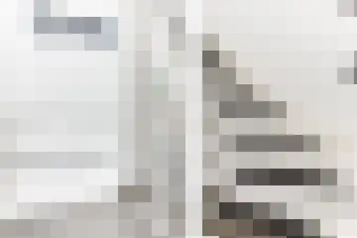 De Hofstee 18 Heiloo thumbnail 20