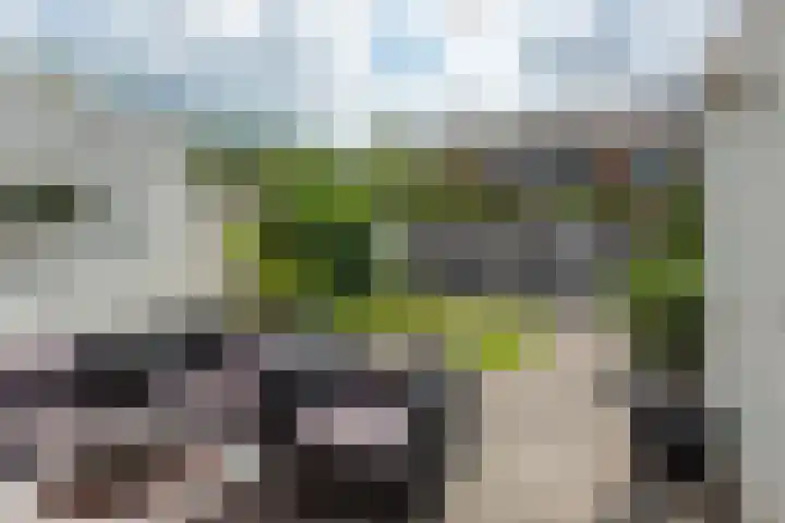 De Hofstee 18 Heiloo thumbnail 35