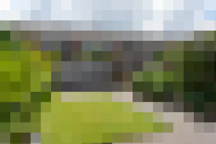 De Hofstee 18 Heiloo thumbnail 39