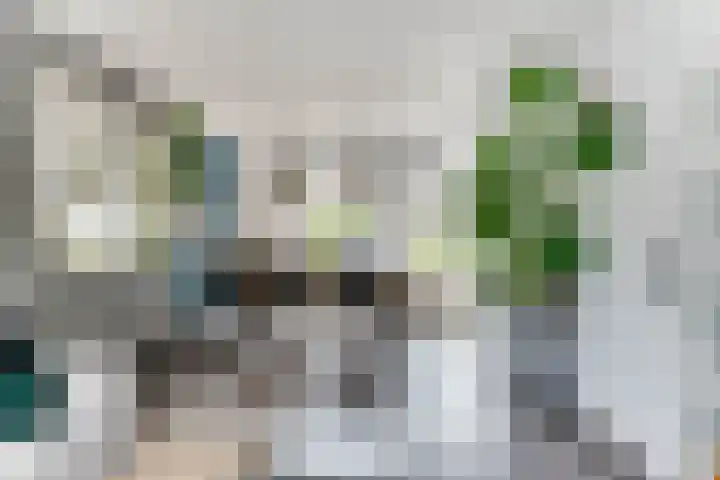 De Hofstee 18 Heiloo thumbnail 4