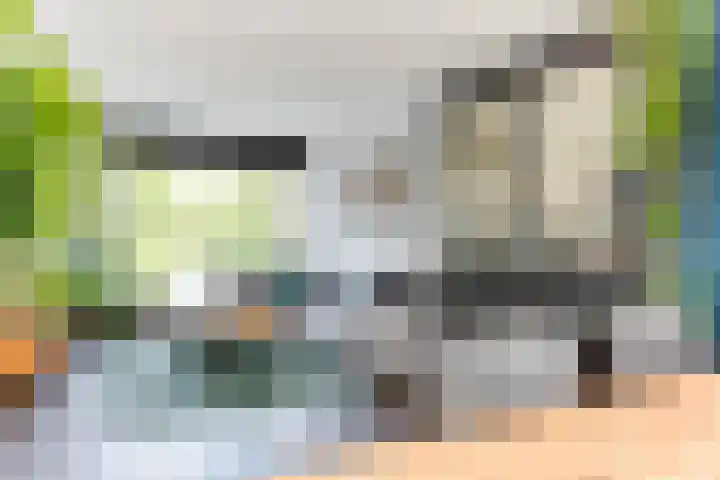 De Hofstee 18 Heiloo thumbnail 5