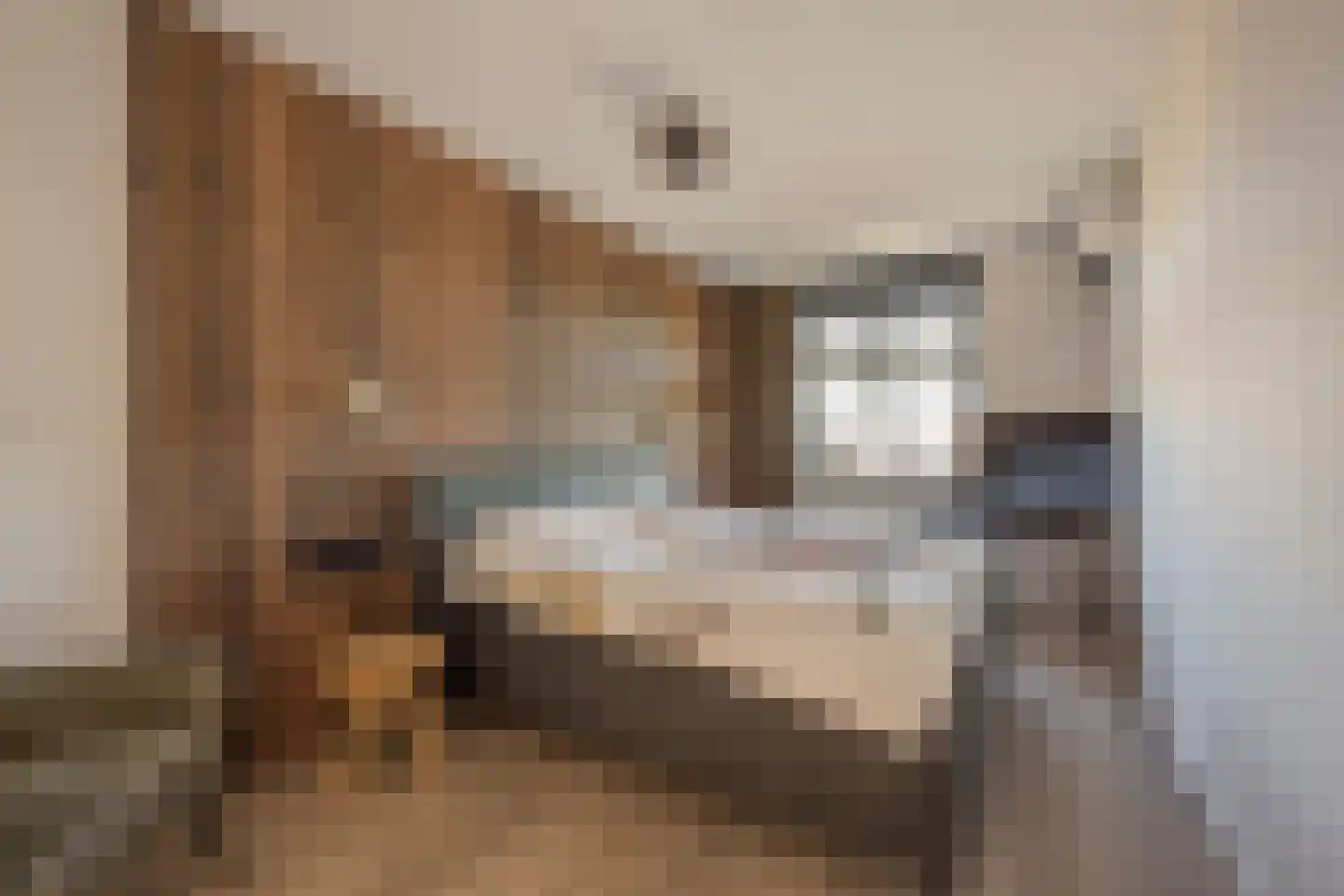 De Hofstee 9 Nijkerk thumbnail 15