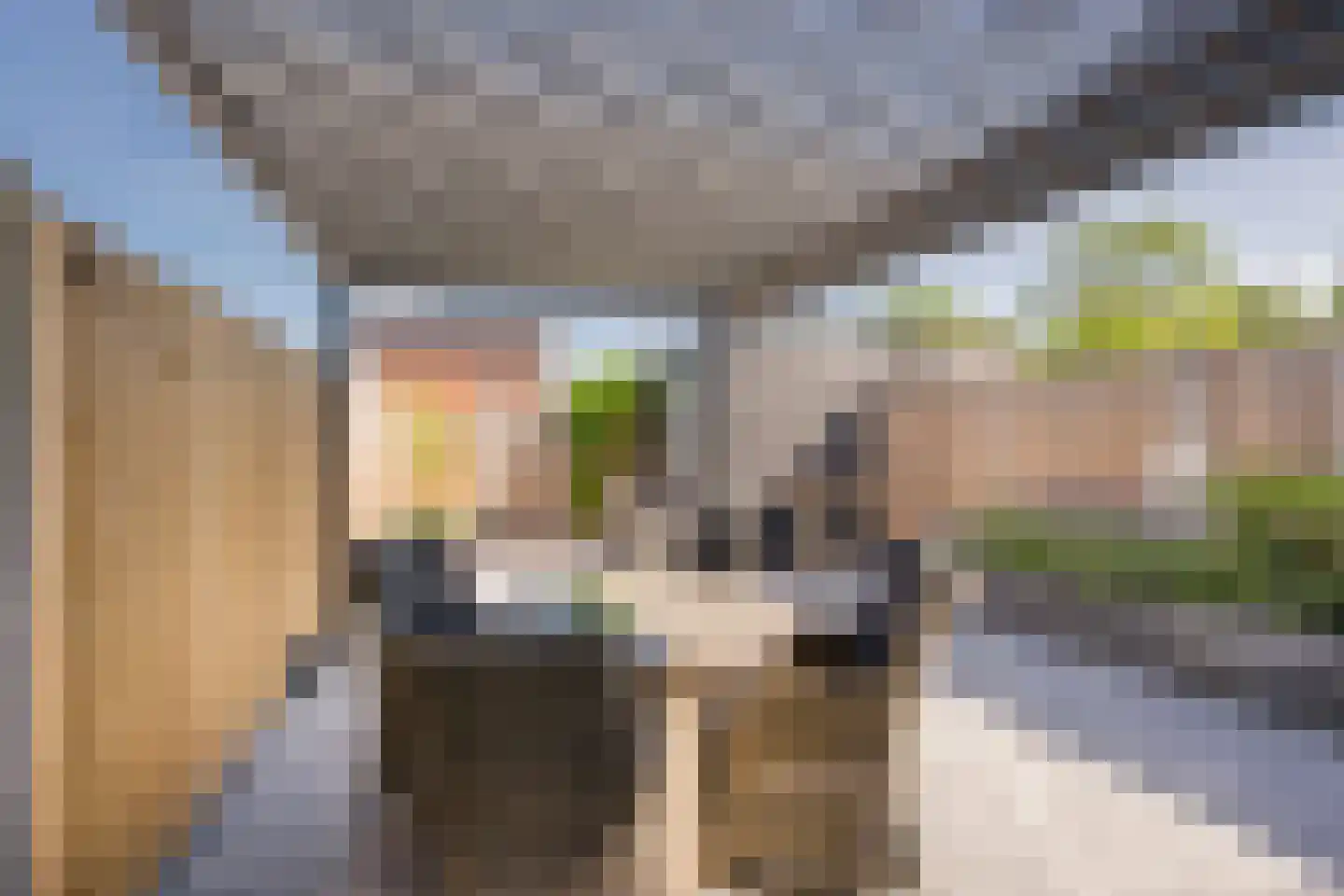 De Hofstee 9 Nijkerk thumbnail 25