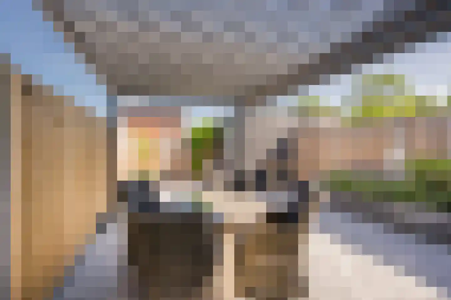 De Hofstee 9 Nijkerk thumbnail 25