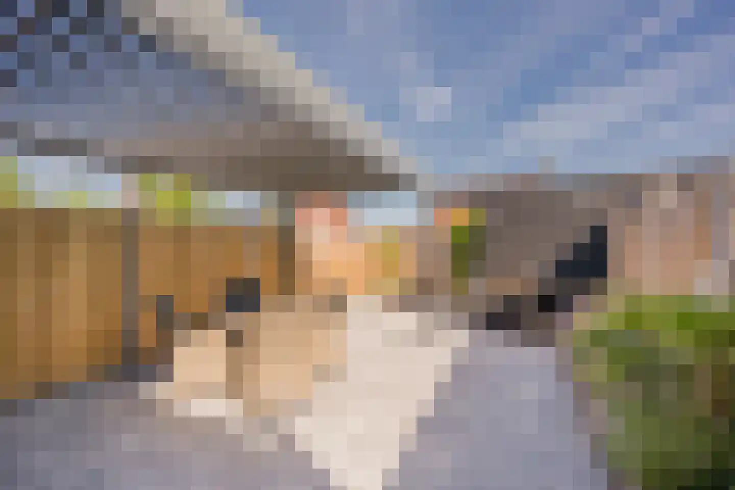 De Hofstee 9 Nijkerk thumbnail 26