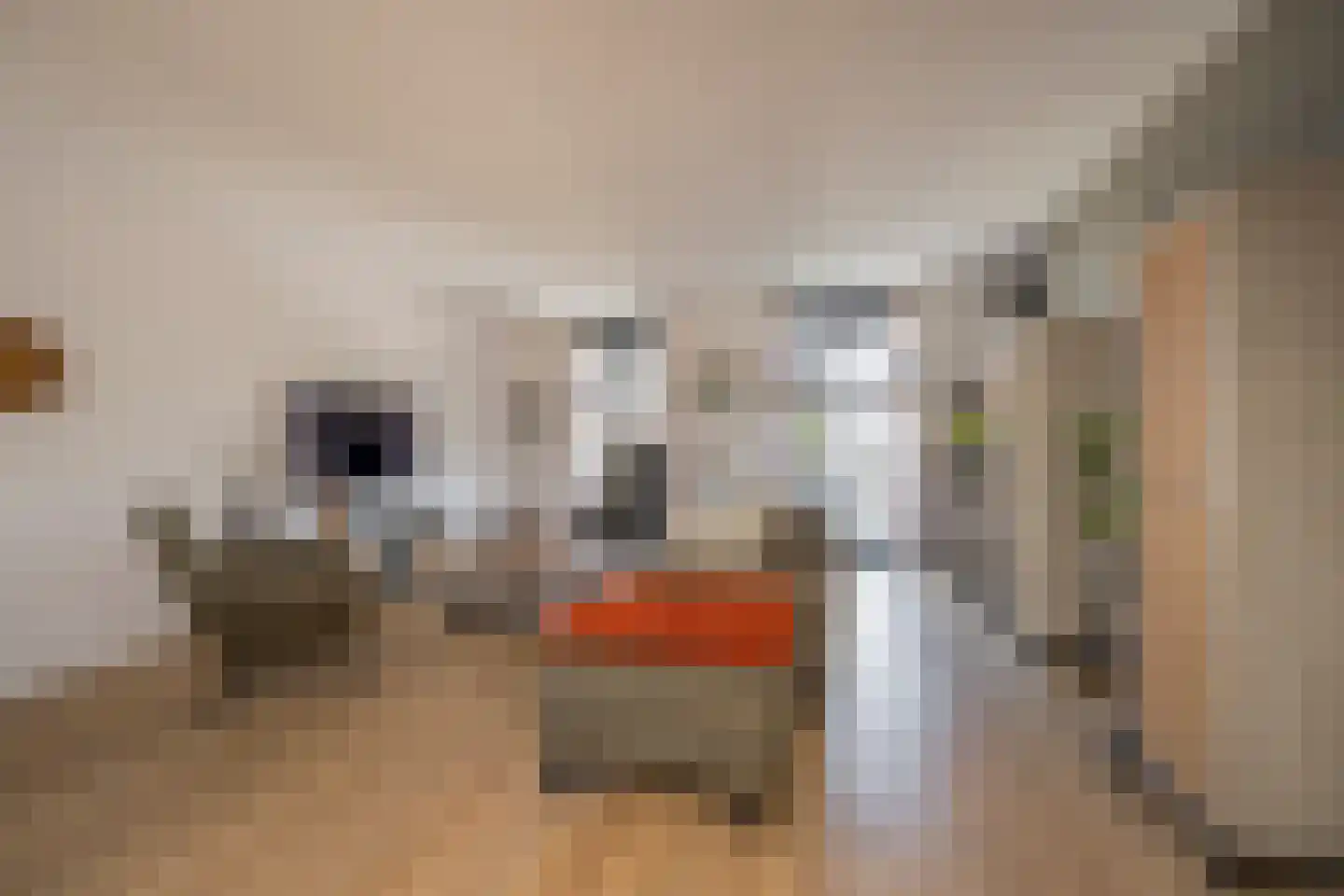 De Hofstee 9 Nijkerk thumbnail 6
