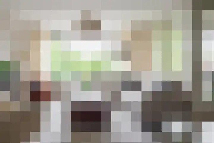 De Höfte 18 Borne thumbnail 11