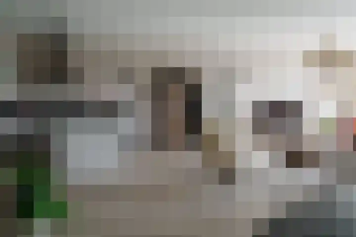 De Höfte 18 Borne thumbnail 12