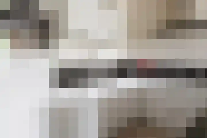 De Höfte 18 Borne thumbnail 15