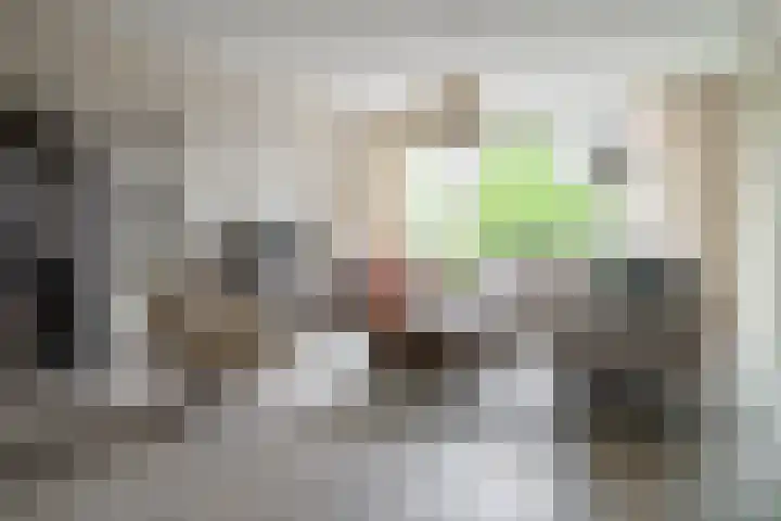 De Höfte 18 Borne foto 2