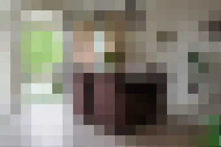 De Höfte 18 Borne thumbnail 20