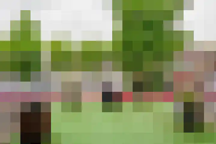 De Höfte 18 Borne thumbnail 23