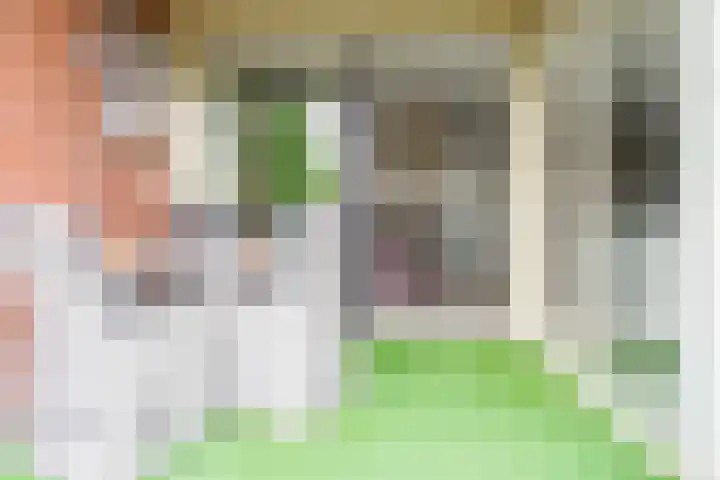 De Höfte 18 Borne thumbnail 24