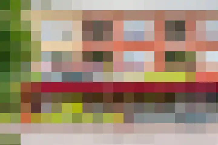 De Höfte 18 Borne thumbnail 33