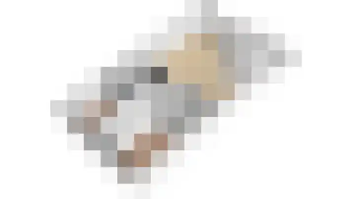 De Höfte 18 Borne thumbnail 36