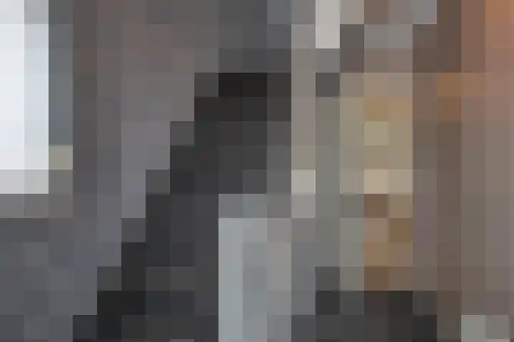 De Höfte 21 Rijssen thumbnail 17
