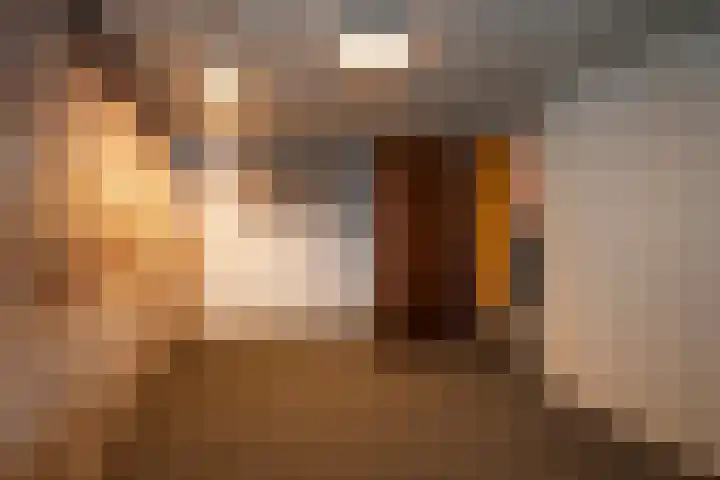 De Höfte 21 Rijssen thumbnail 19