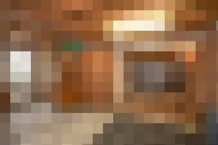 De Höfte 21 Rijssen thumbnail 29