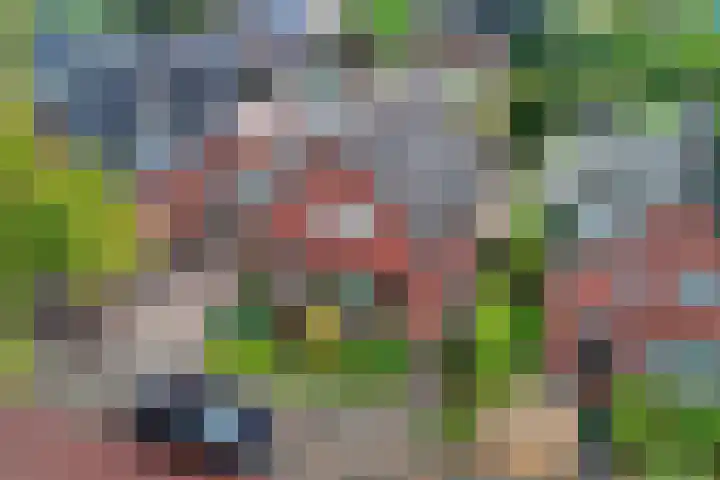 De Höfte 21 Rijssen foto 3