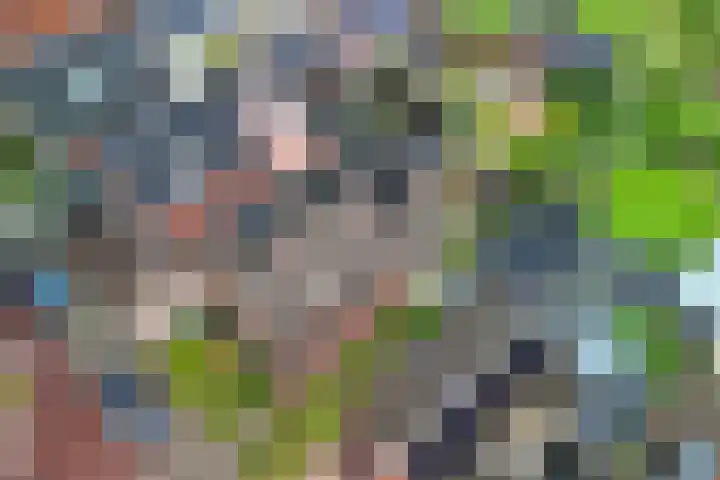 De Höfte 21 Rijssen thumbnail 31