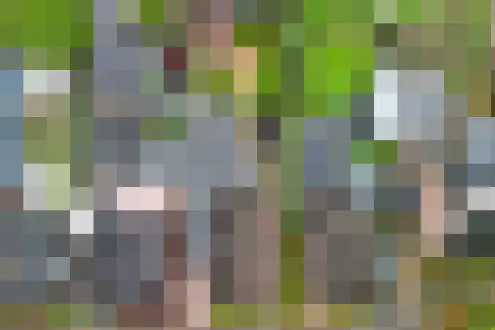 De Höfte 21 Rijssen thumbnail 32