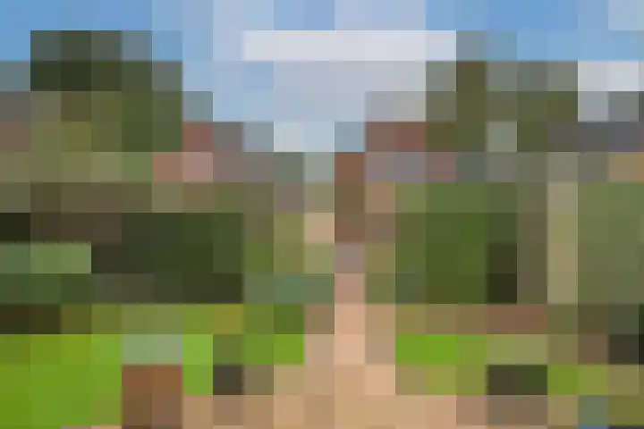 De Höfte 21 Rijssen thumbnail 38
