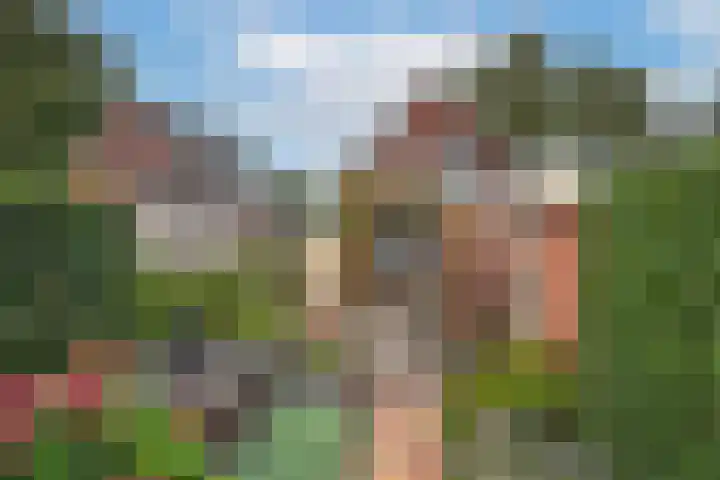De Höfte 21 Rijssen thumbnail 39