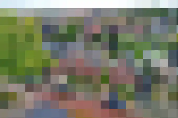 De Höfte 21 Rijssen thumbnail 4