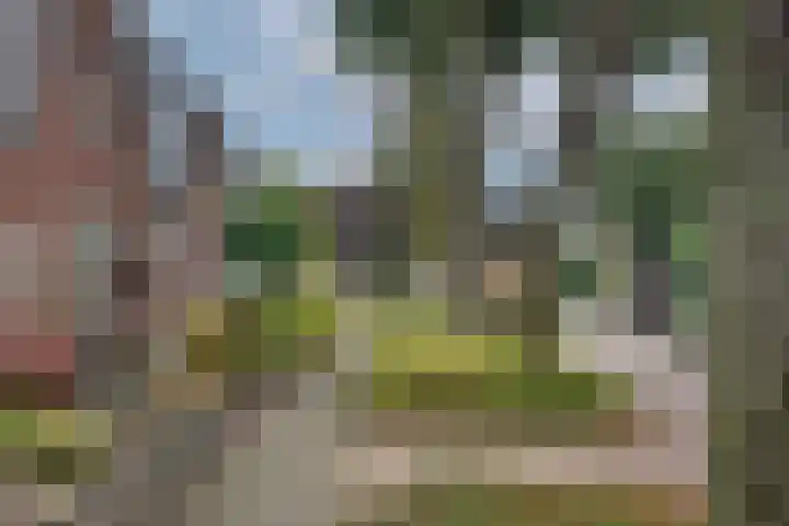 De Höfte 21 Rijssen thumbnail 5