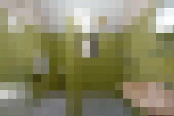 De Höfte 36 Rijssen thumbnail 14