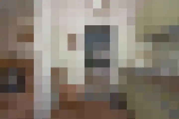 De Höfte 36 Rijssen thumbnail 16