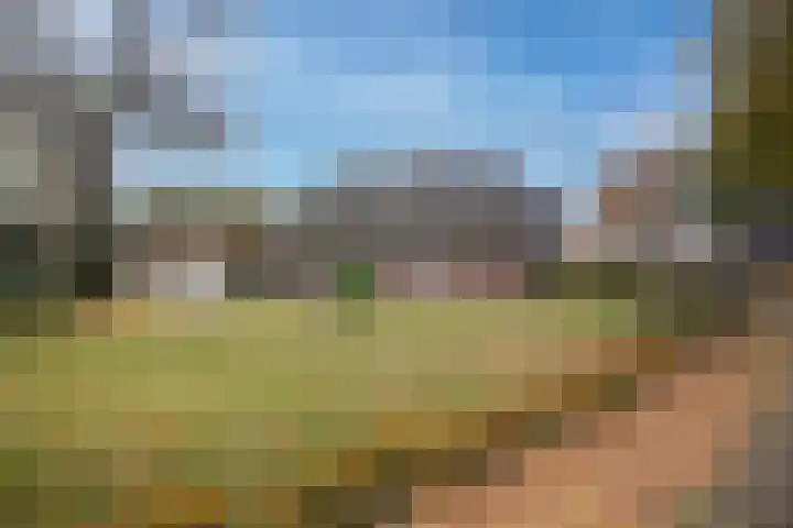 De Höfte 36 Rijssen foto 3