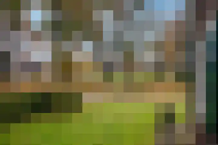 De Höfte 36 Rijssen thumbnail 4