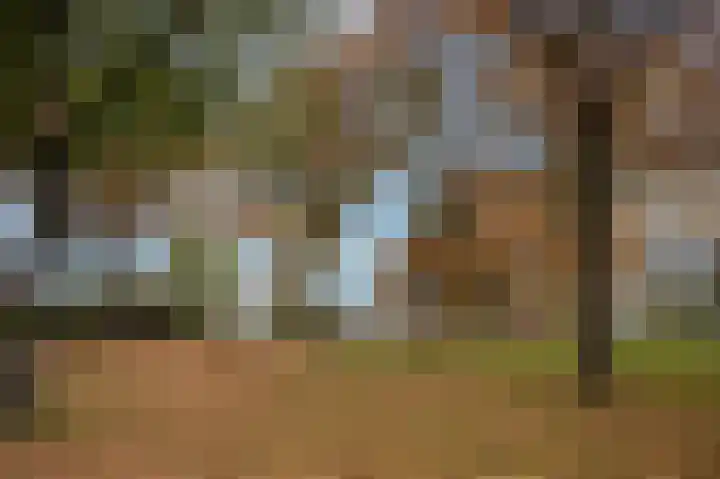 De Höfte 36 Rijssen thumbnail 5