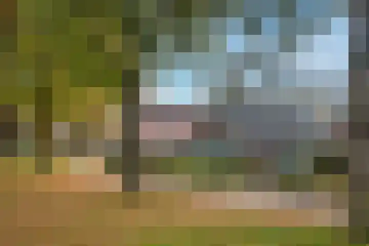 De Höfte 36 Rijssen thumbnail 6