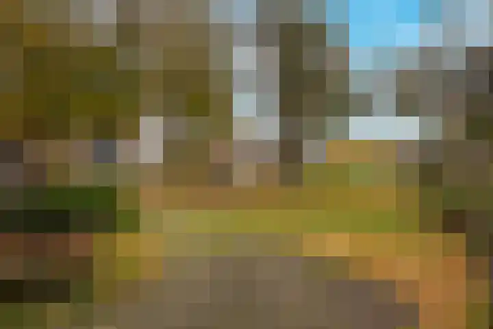 De Höfte 36 Rijssen thumbnail 8