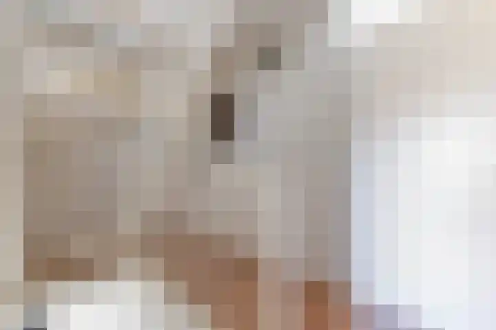 De Hofvoogd 8 Borculo thumbnail 23