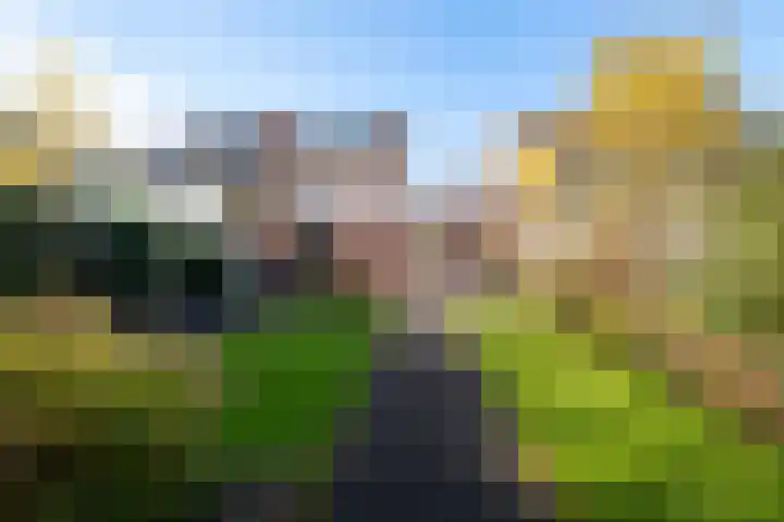 De Hofvoogd 8 Borculo thumbnail 4