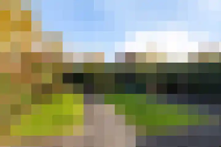 De Hofvoogd 8 Borculo thumbnail 40