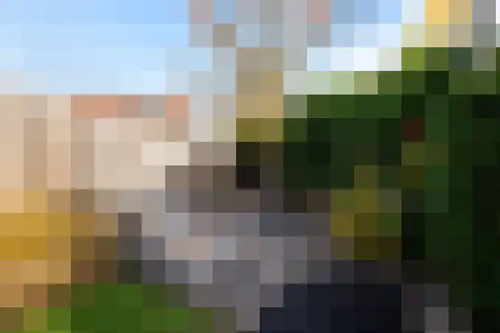 De Hofvoogd 8 Borculo thumbnail 41
