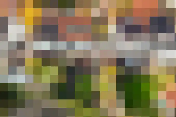De Hofvoogd 8 Borculo thumbnail 42