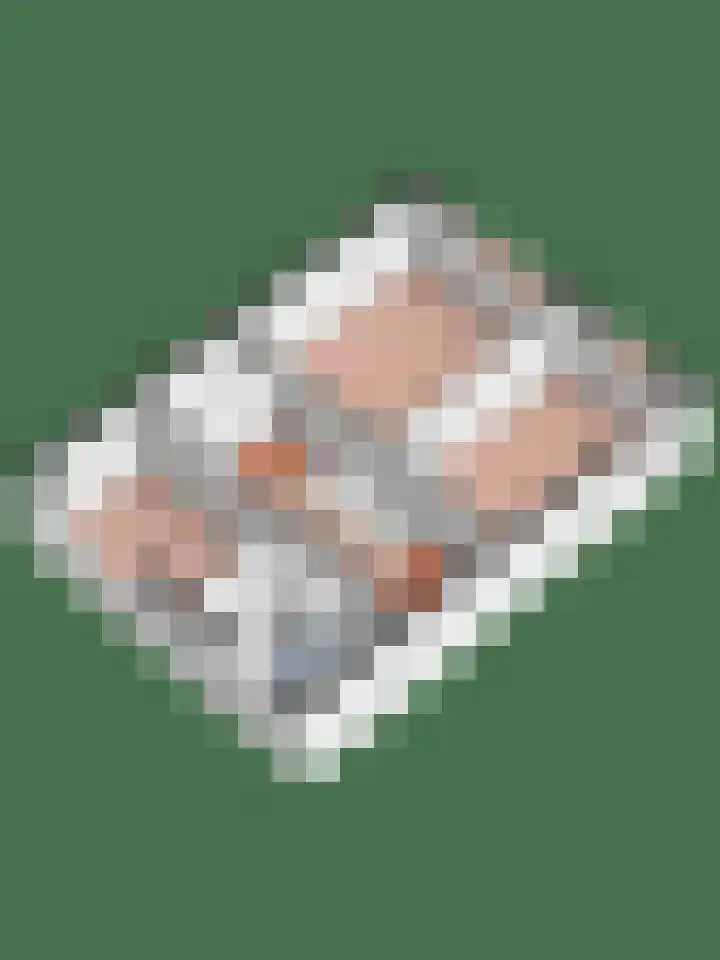 De Hofvoogd 8 Borculo thumbnail 49