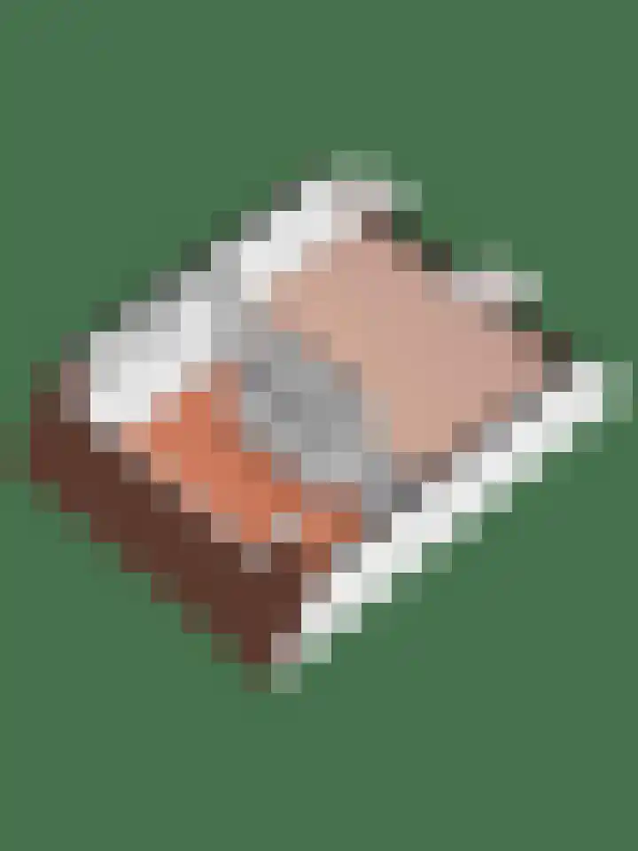 De Hofvoogd 8 Borculo thumbnail 51