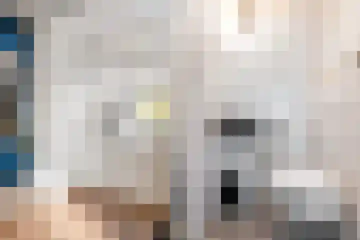 De Hofvoogd 8 Borculo thumbnail 8