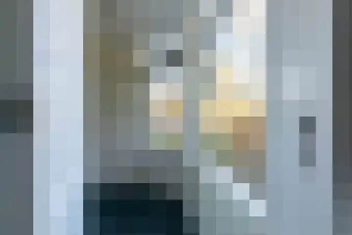 De Hoge Akker 38 Barneveld thumbnail 39