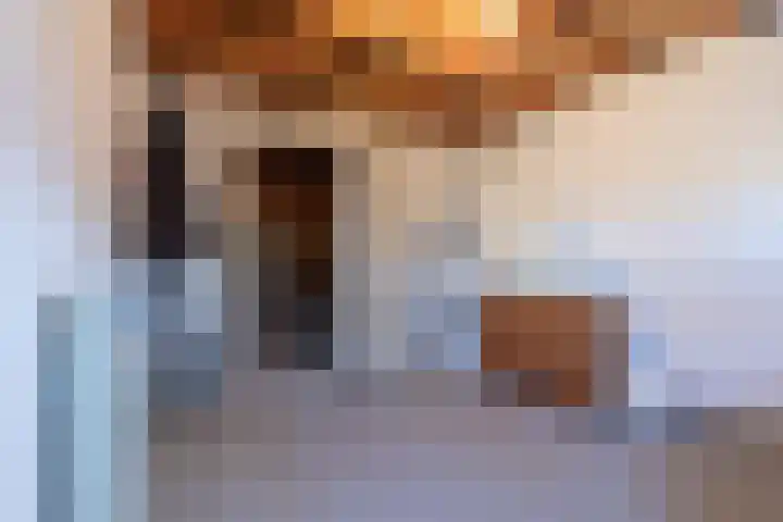 De Hoge Akker 38 Barneveld thumbnail 42