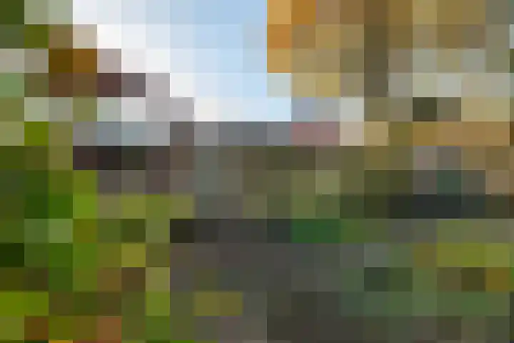De Hoge Akker 38 Barneveld thumbnail 48