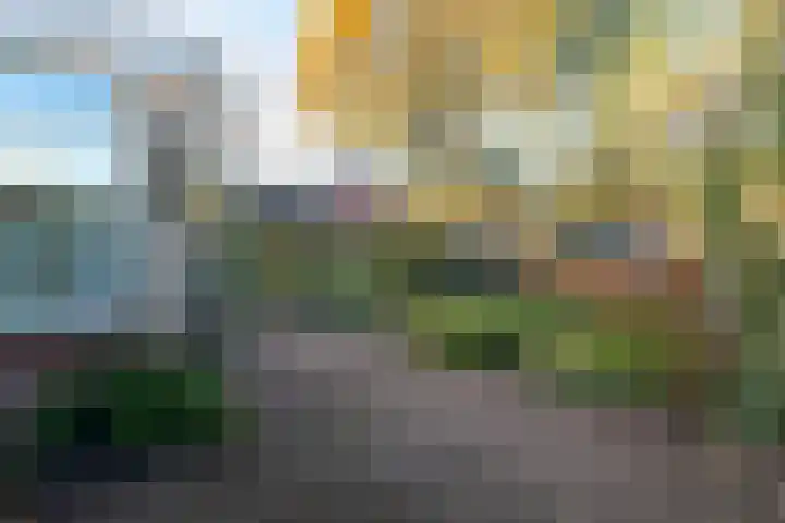 De Hoge Akker 38 Barneveld thumbnail 49