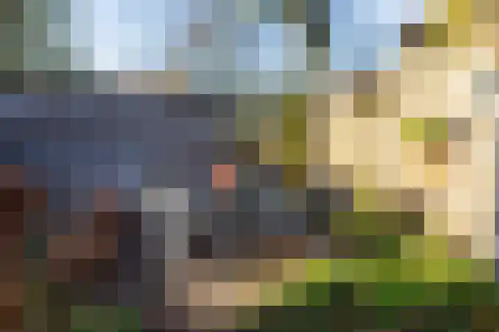 De Hoge Akker 38 Barneveld thumbnail 52