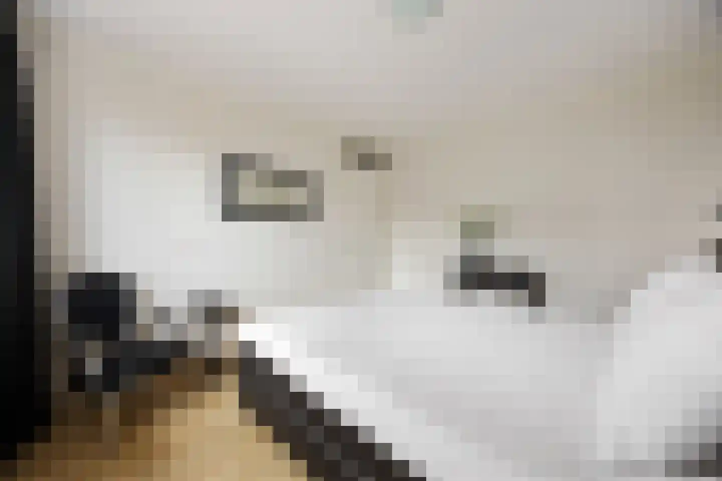 De Hoge Akker 44 Barneveld thumbnail 16